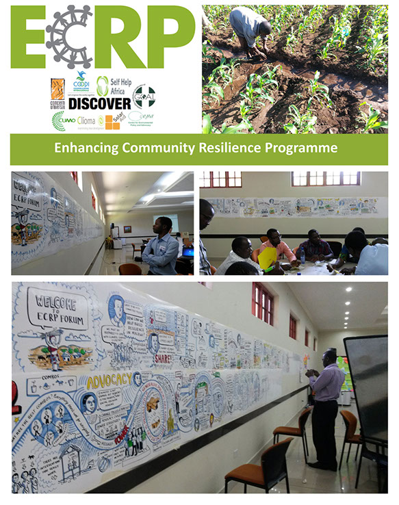 Graphic recording Malawi